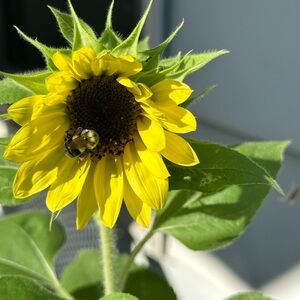 Live Show Jewelry November 10, 2024